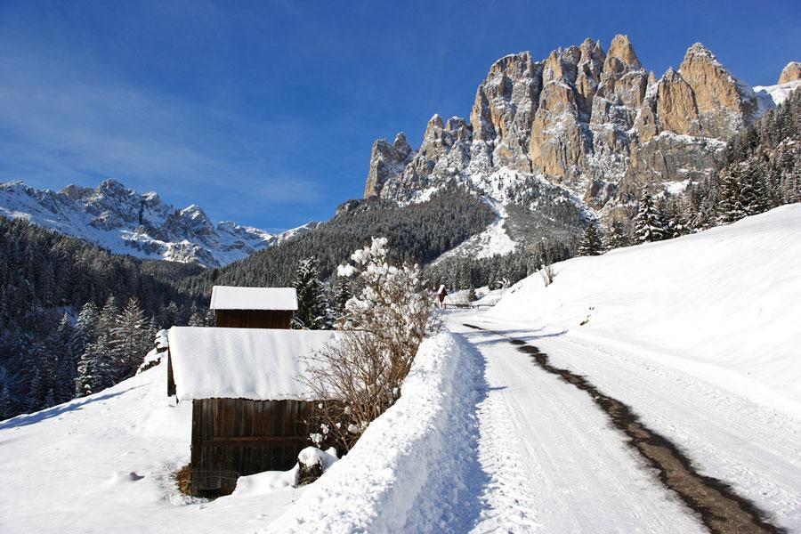 Appartamenti Dolomiti Moena Extérieur photo